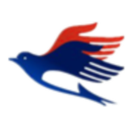 星零码字器 v7.54.3.8免费版