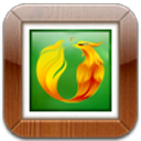 火凤相册制作大师 v3.5.2.287