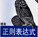 精通正则表达式第3版 杰佛瑞E.F.佛瑞德pdf扫描版