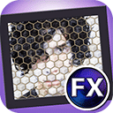 Kyoobik Photo(个性照片制作软件) v1.34