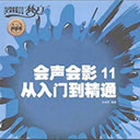 会声会影11从入门到精通 王永辉pdf扫描版