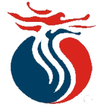 金长江财智版电脑版 v12.62