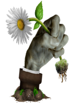 植物大战僵尸冰火版电脑版 绿色版