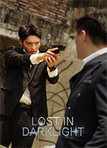 逆光迷途电脑版 绿色版