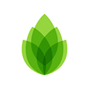 芦笋录屏电脑版 v2.6.0官方版