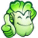 大白菜系统盘 v6.0_2504官方版