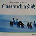 Cassandra实战 郭鹏pdf扫描版