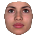 Facegen Artist pro(3D脸部模型创建软件) v3.12