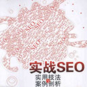 实战SEO实用技法与案例剖析 藏锋者扫描版