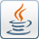 java se development kit 25 v25.0.1官方版