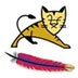 Apache tomcat 10 v10.1.49官方版