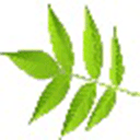 x2m decoder(x2m文件解密工具) v1.0.1官方版