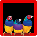 ViewSonic ViewSplit(优派显示器分屏工具) v1.0.0官方版