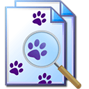 EF Find本地文件搜索工具 v25.10