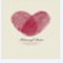 网站图标提取工具 v1.0绿色版