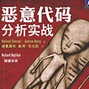 恶意代码分析实战pdf扫描版