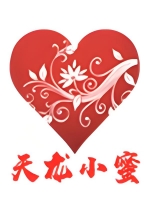 天龙小蜜官方电脑版 v1129.1