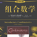 组合数学原书第5版 布鲁迪pdf扫描版