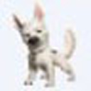 淘宝宝贝短视频采集工具(淘宝视频下载软件) v1.0绿色版