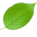 UFax2电子签章软件 v2.2.6.0