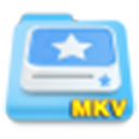 枫叶MKV视频转换器 v16.5.0.0官方版