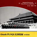 OraclePL/SQL实例精解(原书第4版) 罗森维格pdf扫描版