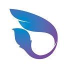 京师书法教师端 v1.3.29