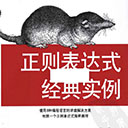 正则表达式经典实例第2版 pdf高清扫描版