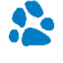 淘猫流量 v12.3官方版