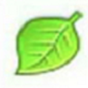 绿叶u盘启动盘制作工具 v3.5增强版