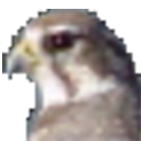 Falco Icon Studio(图标制作软件) v8.3