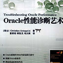 oracle性能诊断艺术 pdf扫描版