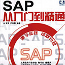 sap从入门到精通电子书 文洋pdf扫描版