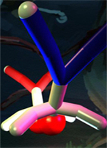 橡胶忍者电脑版