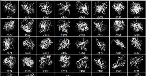 64种高清水花笔刷
