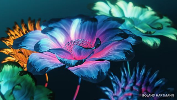 红巨星系列插件套装red giant 2026中文特别