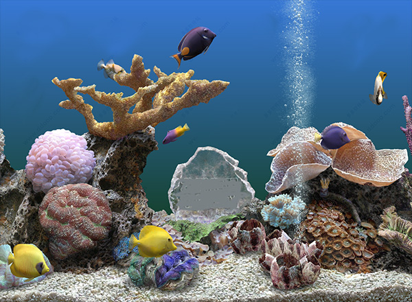 3D热带鱼水族箱屏保电脑版