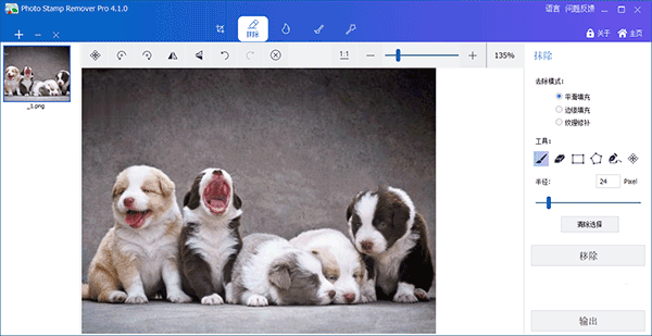 GiliSoft Photo Stamp Remover Pro