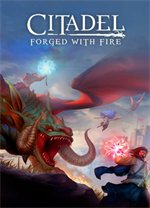 堡垒火焰之炼中文版