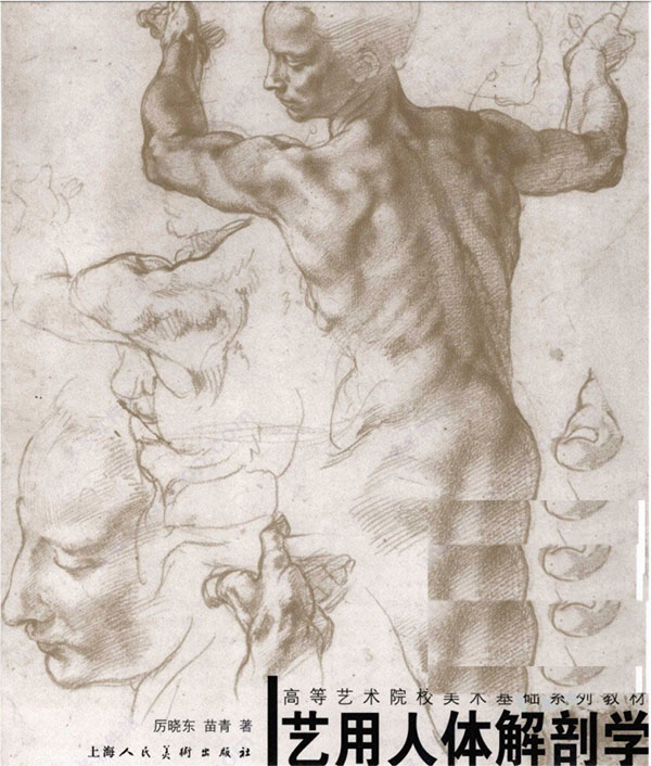 艺用人体解剖学