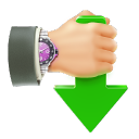 Internet Download Accelerator Pro(网络下载加速器)