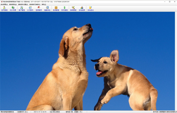 易软宠物医院管理系统下载