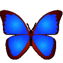 bkviewer图片浏览器