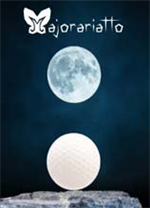 掘地球升修改器