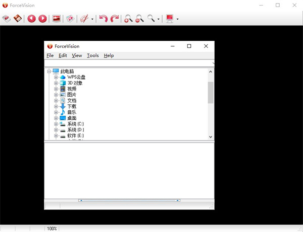 forcevision final(看图软件)下载