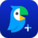 Papago Plus电脑版