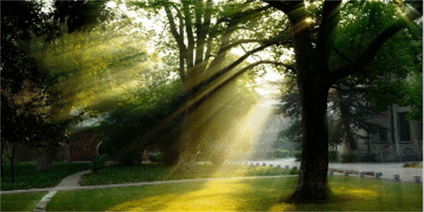 光束大师滤镜免费下载