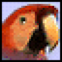 英语八哥英语课本学习软件