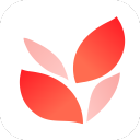 小满壁纸电脑版