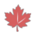 红枫云盘电脑版